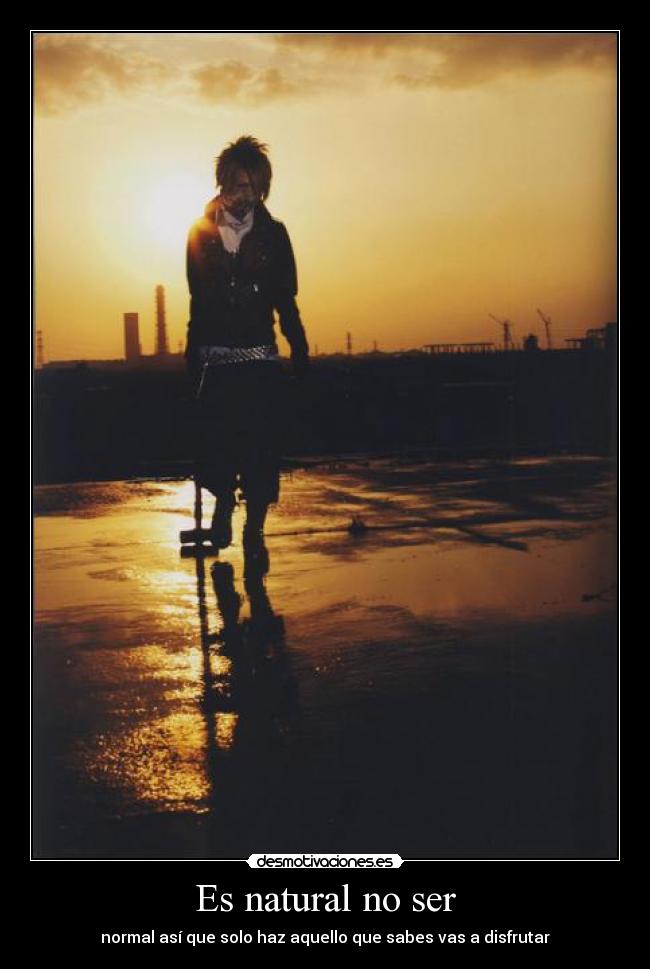 carteles reita the gazette desmotivaciones