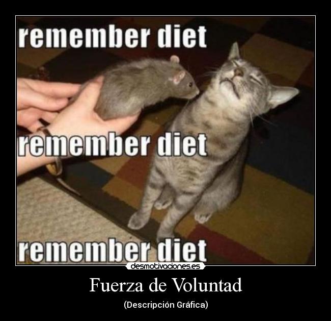 Fuerza de Voluntad - (Descripción Gráfica)