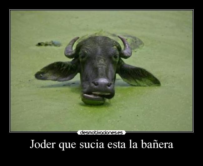 Joder que sucia esta la bañera -