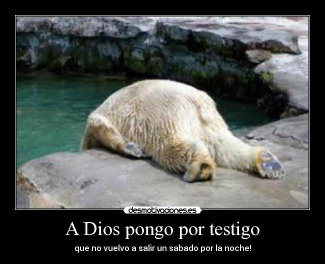 A Dios pongo por testigo -