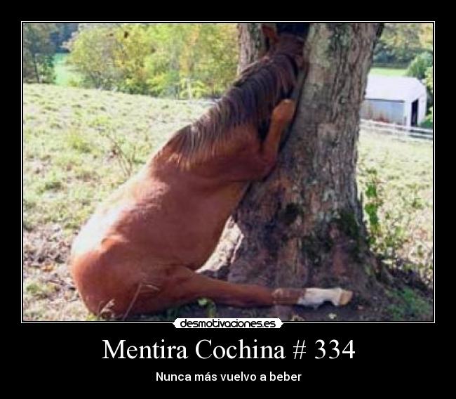 Mentira Cochina # 334 -