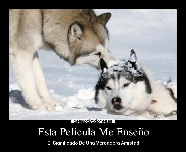 Esta Pelicula Me Enseño - El Significado De Una Verdadera Amistad