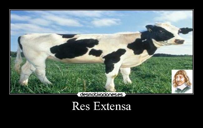 Res Extensa - 