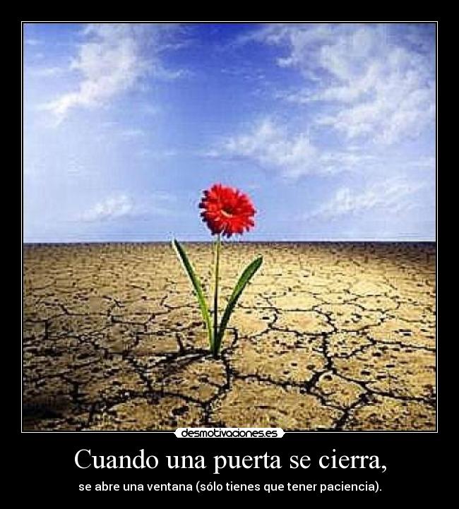 Cuando una puerta se cierra, - se abre una ventana (sólo tienes que tener paciencia).