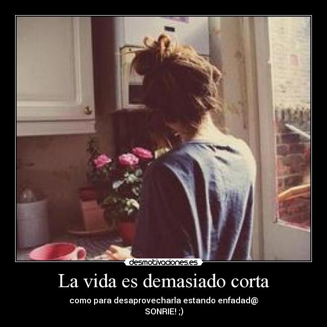 La vida es demasiado corta - como para desaprovecharla estando enfadad@
SONRIE! ;)