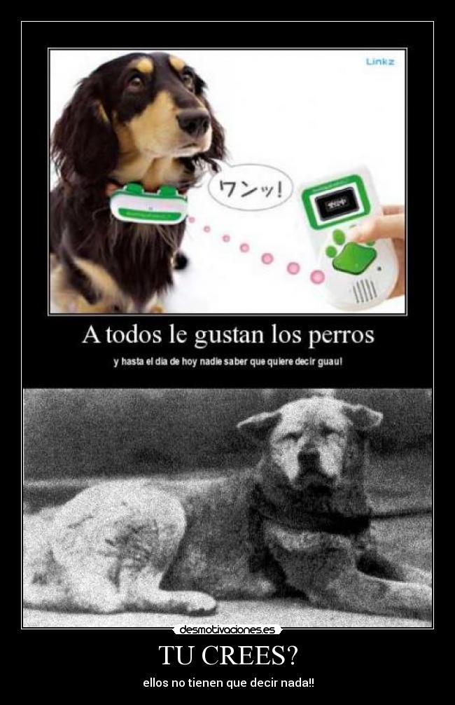 carteles hachiko perros desmotivaciones