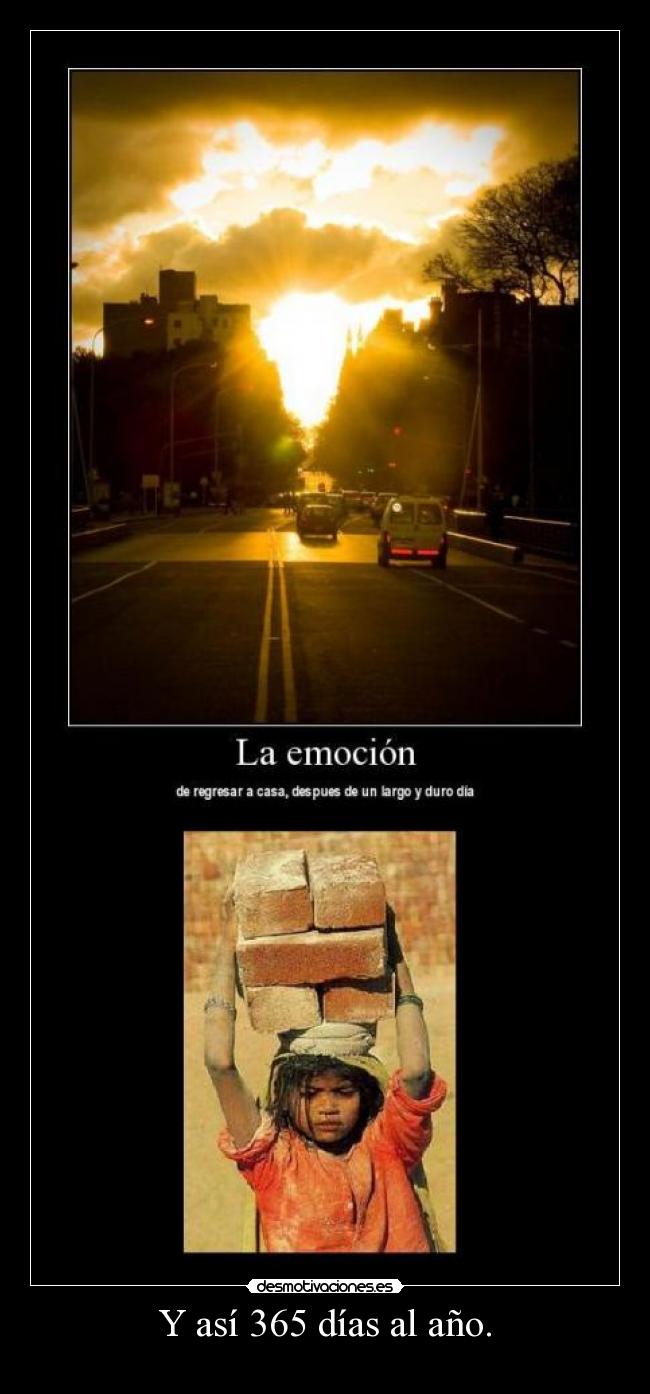 Y así 365 días al año. -