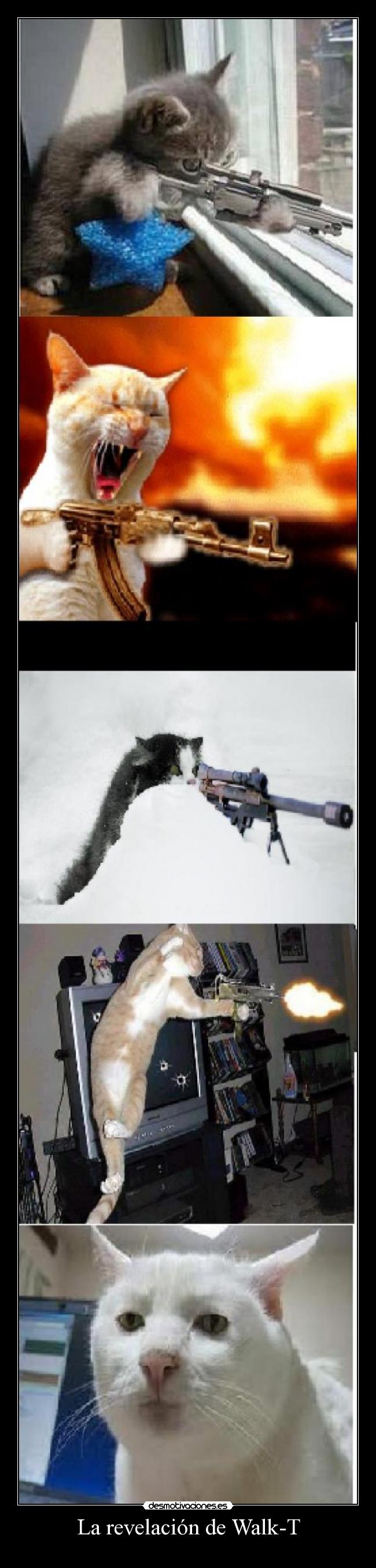 La revelación de Walk-T - 