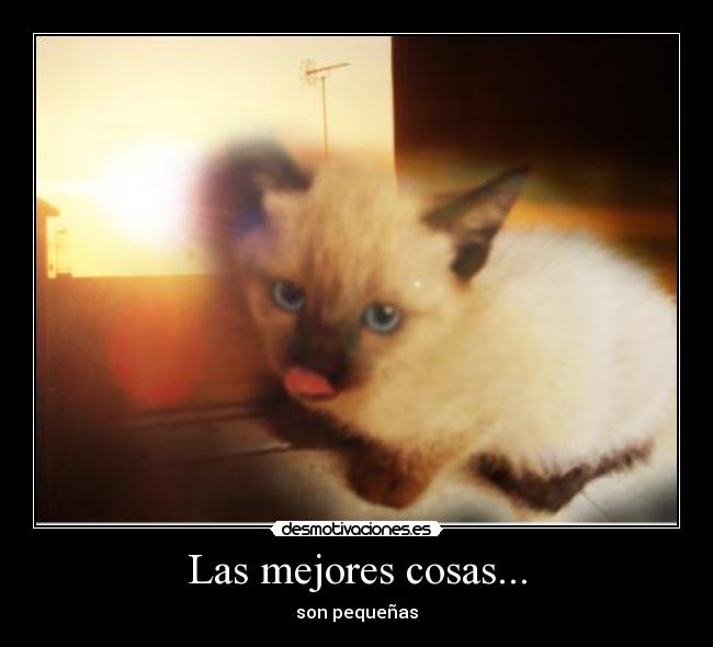 Las mejores cosas... - son pequeñas