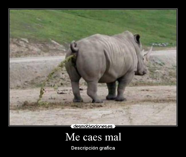 Me caes mal -