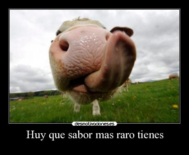 Huy que sabor mas raro tienes - 