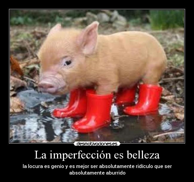 La imperfección es belleza - la locura es genio y es mejor ser absolutamente ridículo que ser
absolutamente aburrido