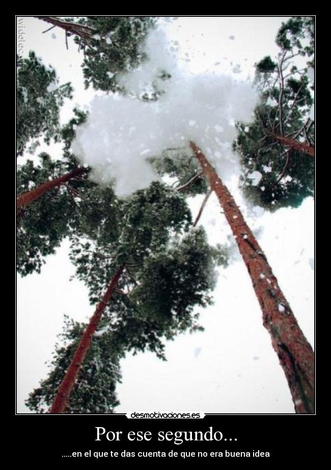Por ese segundo... - 