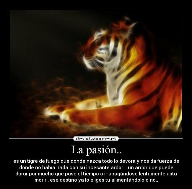 La pasión.. - es un tigre de fuego que donde nazca todo lo devora y nos da fuerza de
donde no había nada con su incesante ardor... un ardor que puede
durar por mucho que pase el tiempo o ir apagándose lentamente asta
morir.. ese destino ya lo eliges tu alimentándolo o no..