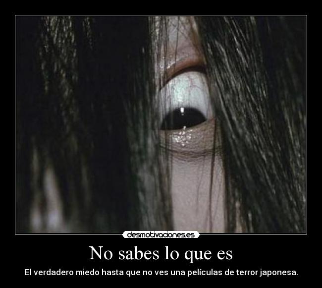 No sabes lo que es - El verdadero miedo hasta que no ves una películas de terror japonesa.