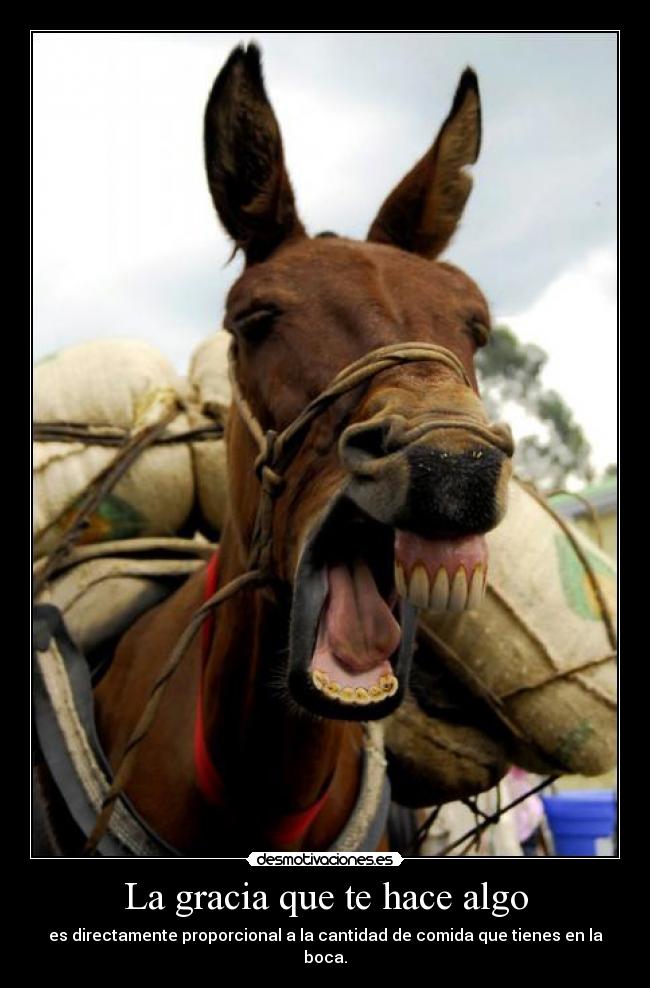 carteles comer reir publico jajaja desmotivaciones
