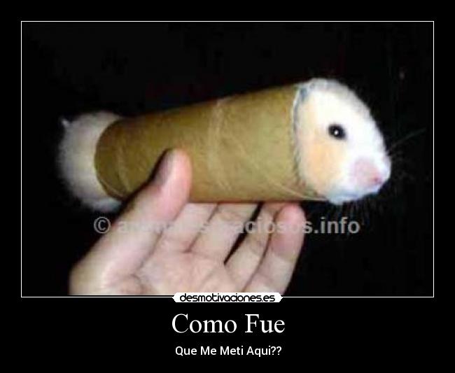 Como Fue -
