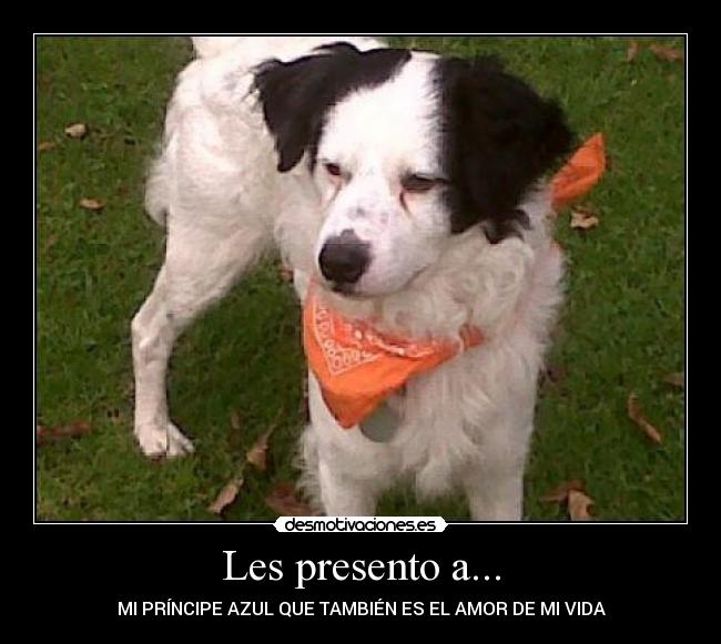 Les presento a... -