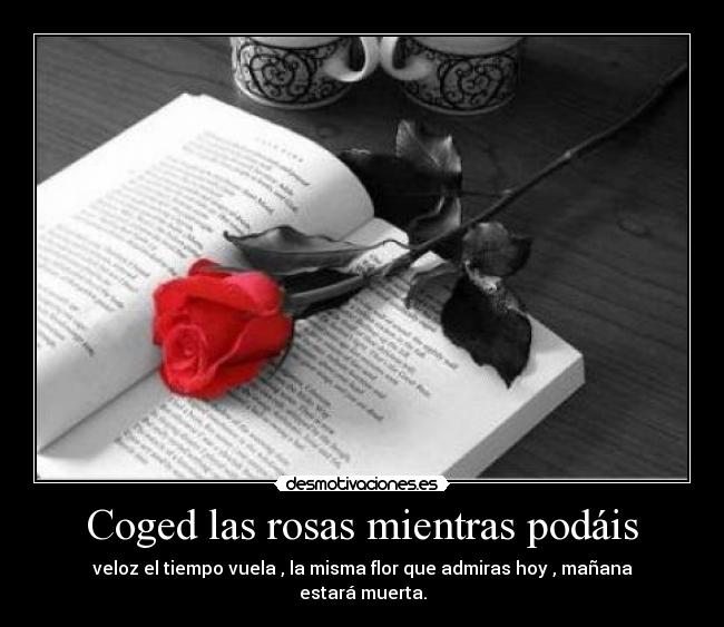 carteles enano moria desmotivaciones