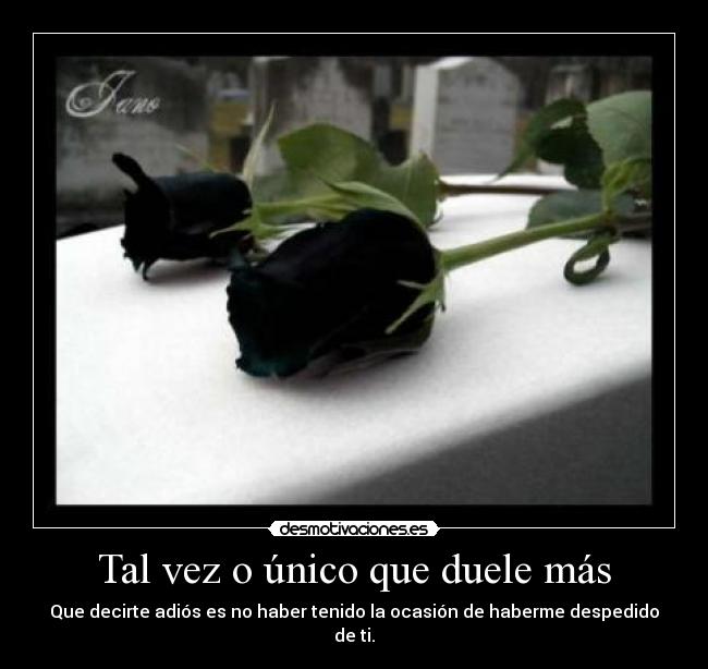 Tal vez o único que duele más - Que decirte adiós es no haber tenido la ocasión de haberme despedido de ti.
