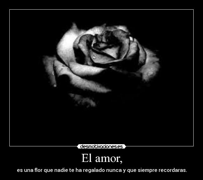 El amor, -