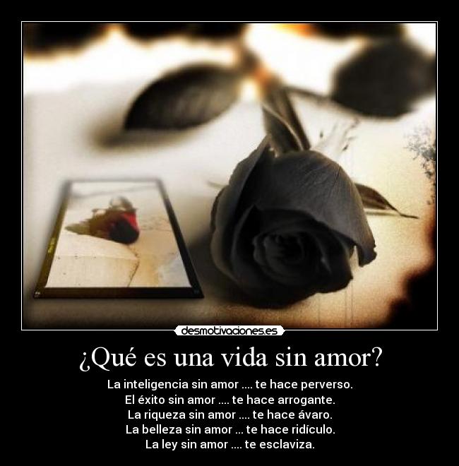 ¿Qué es una vida sin amor? -