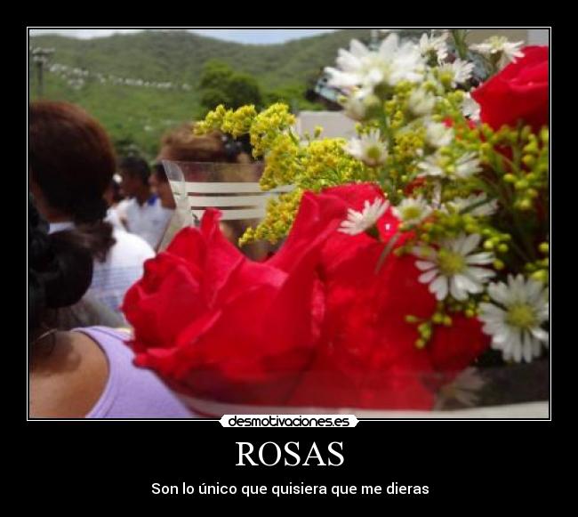 ROSAS - Son lo único que quisiera que me dieras