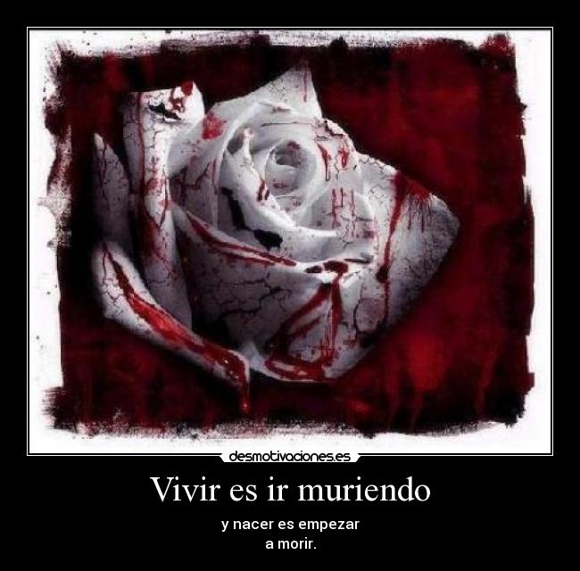 Vivir es ir muriendo -