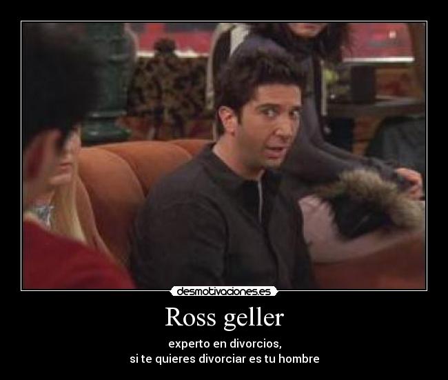Ross geller - experto en divorcios,
si te quieres divorciar es tu hombre