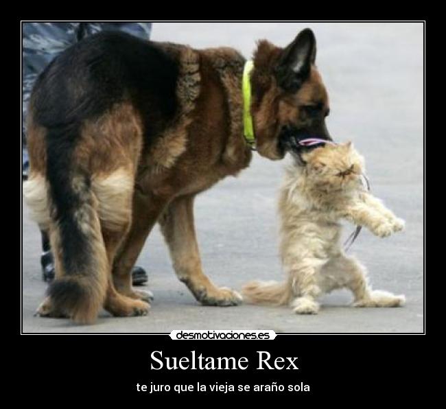 Sueltame Rex - te juro que la vieja se araño sola