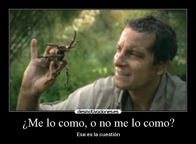 ¿Me lo como, o no me lo como? - 