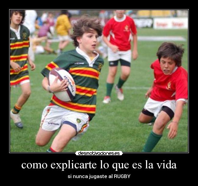 como explicarte lo que es la vida - 