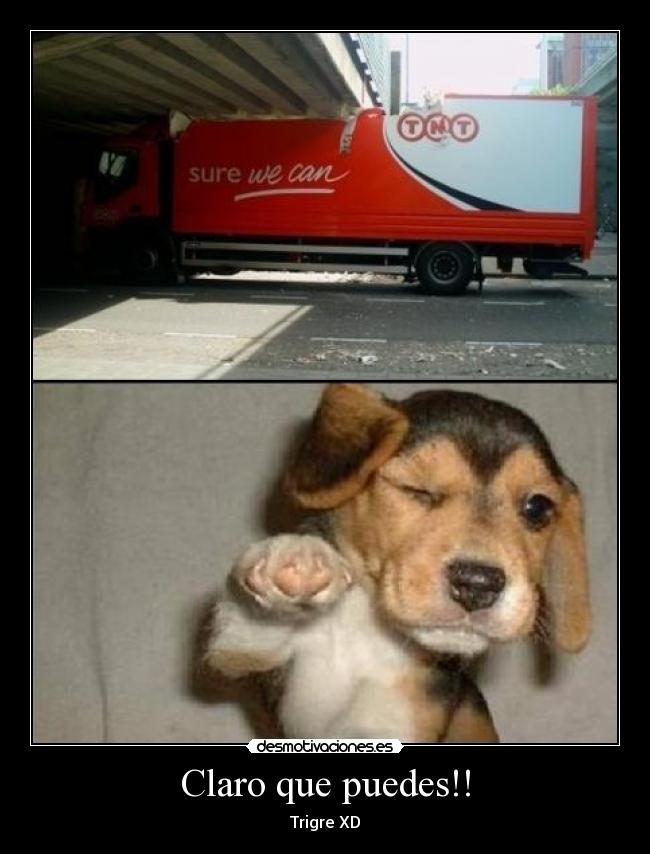 Claro que puedes!! - Trigre XD