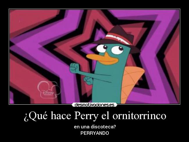 ¿Qué hace Perry el ornitorrinco - en una discoteca?
PERRYANDO