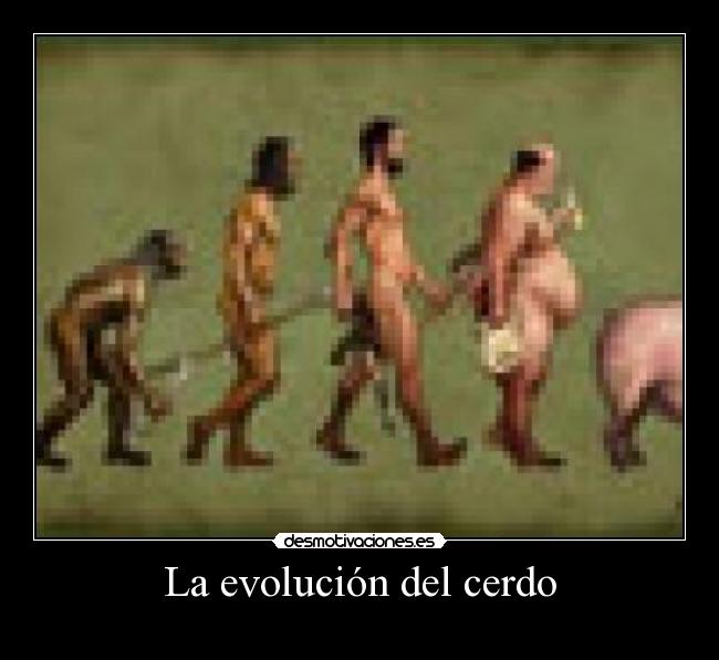 carteles dfgt desmotivaciones