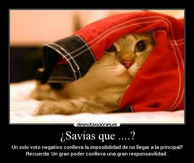 ¿Savias que ....? -