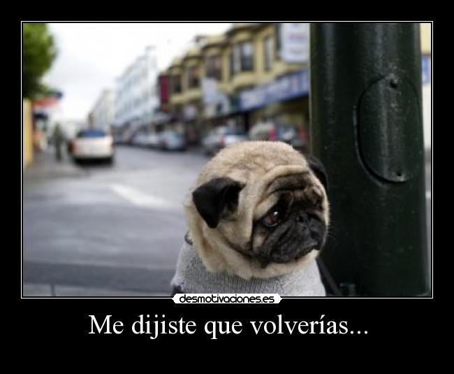 Me dijiste que volverías... - 