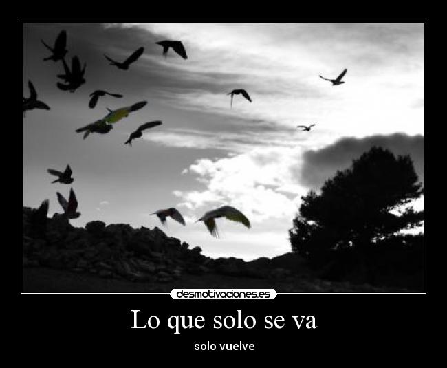 Lo que solo se va - solo vuelve