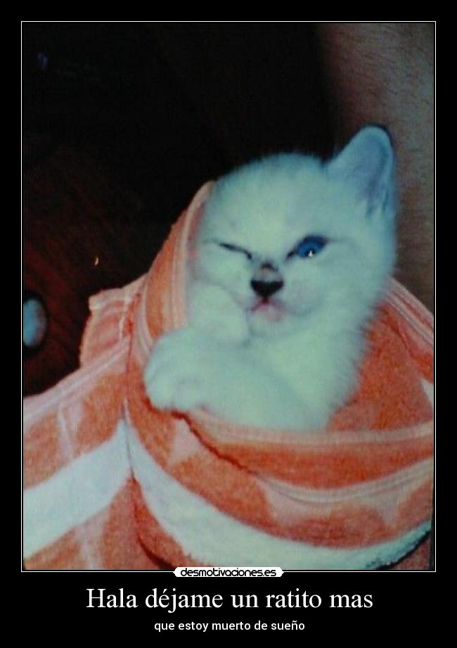Hala déjame un ratito mas - que estoy muerto de sueño