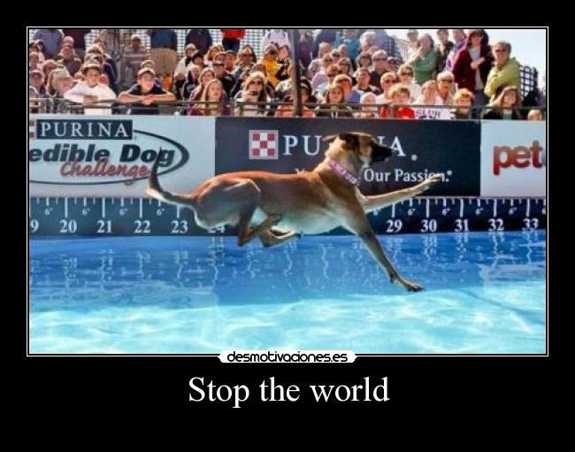 Stop the world -