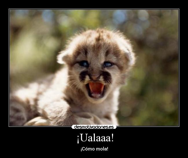 ¡Ualaaa! - 