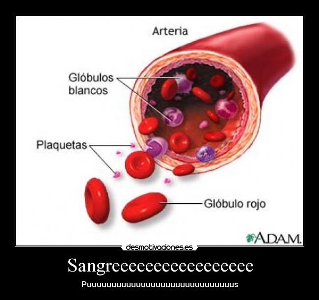 Sangreeeeeeeeeeeeeeeee - Puuuuuuuuuuuuuuuuuuuuuuuuuuuuuus