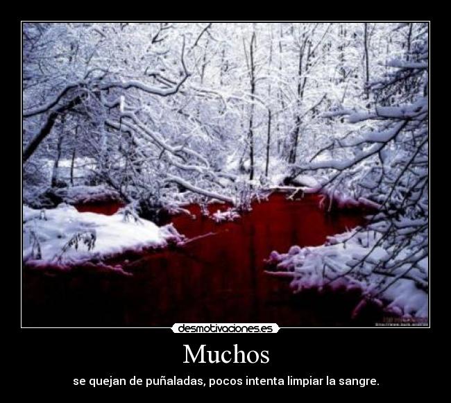 Muchos - 