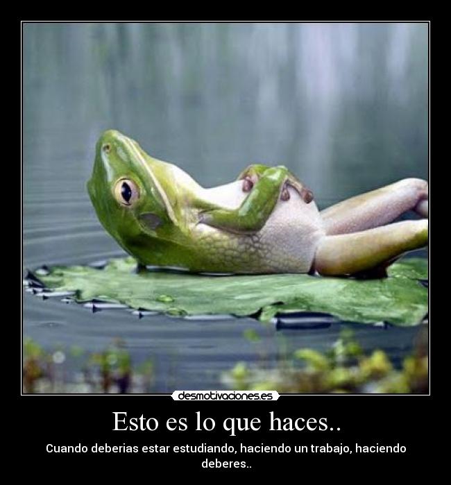 Esto es lo que haces.. - Cuando deberias estar estudiando, haciendo un trabajo, haciendo deberes..