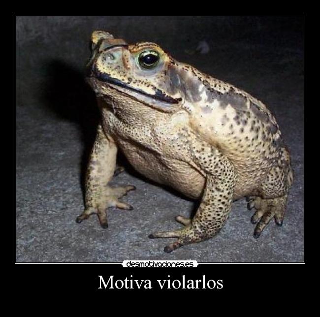 Motiva violarlos -