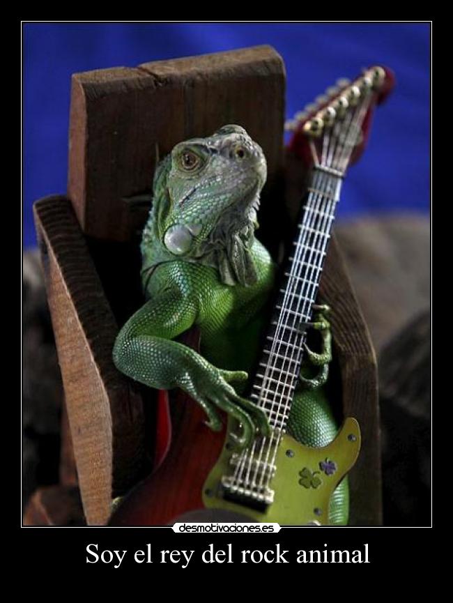 Soy el rey del rock animal -