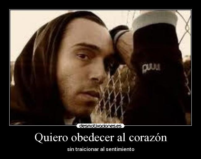 Quiero obedecer al corazón - sin traicionar al sentimiento