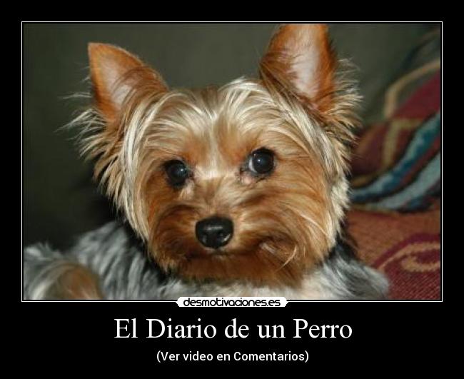 El Diario de un Perro - (Ver video en Comentarios)