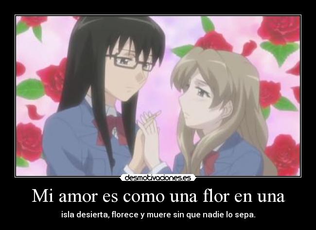 Mi amor es como una flor en una - 