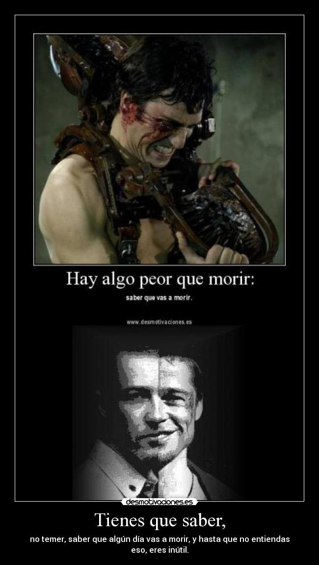 carteles cartel club lucha fight club tyler durden desmotivaciones